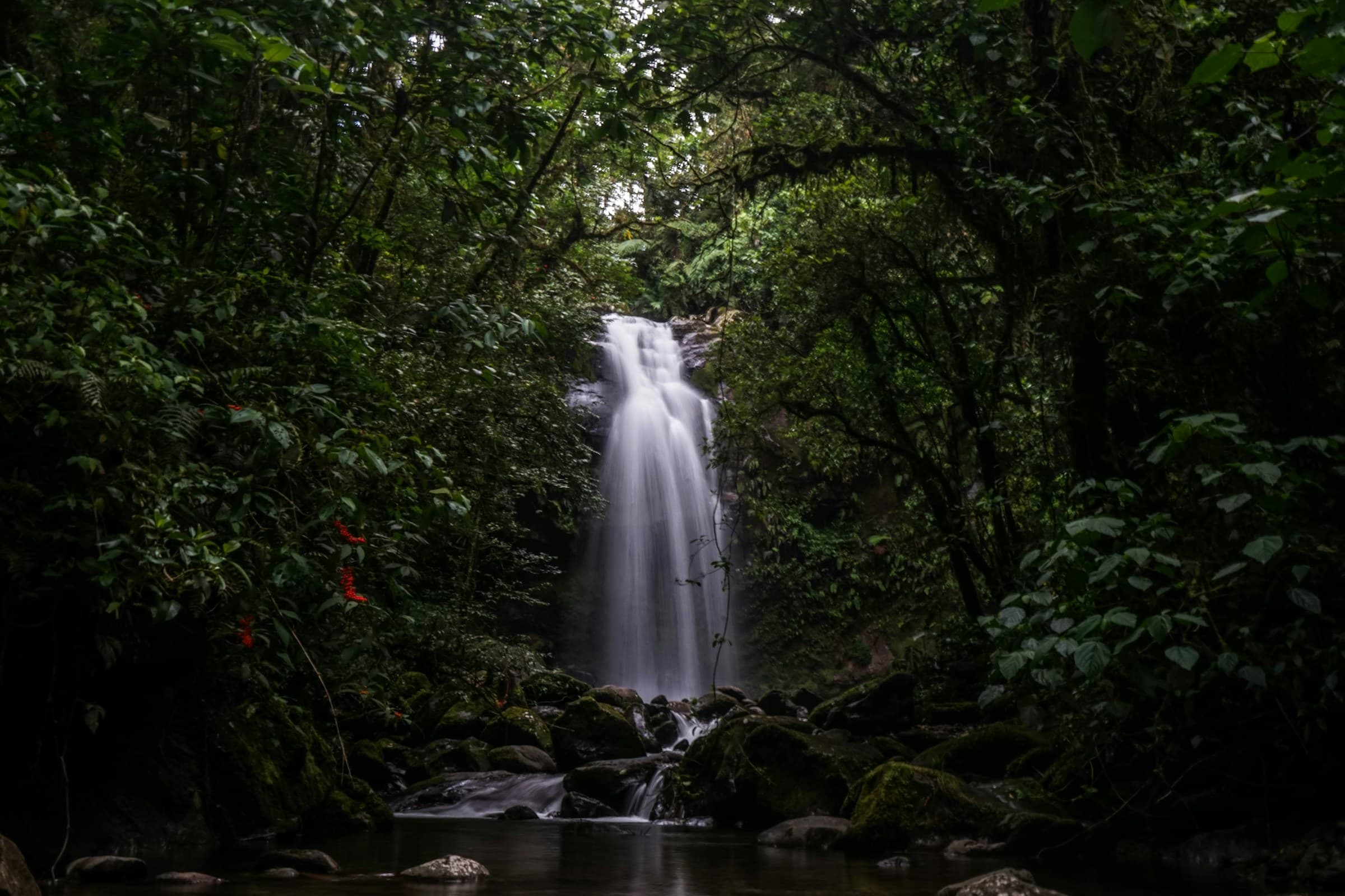 Naturaleza